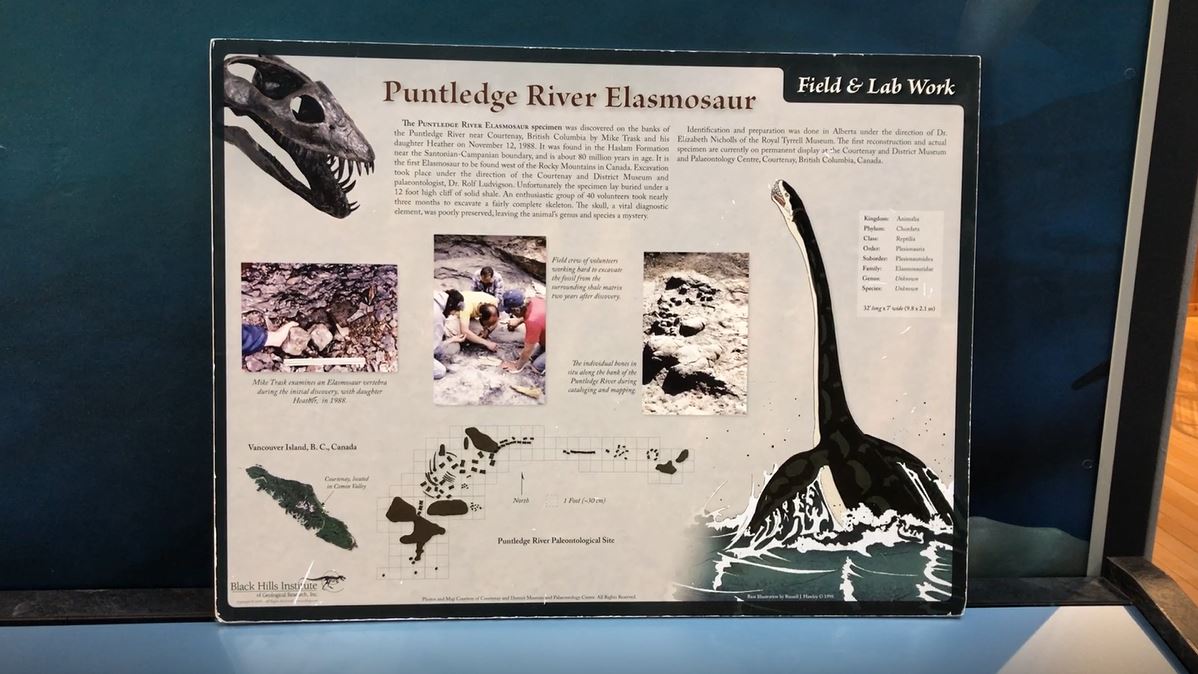 Bill for elasmosaur to become provincial fossil passes second