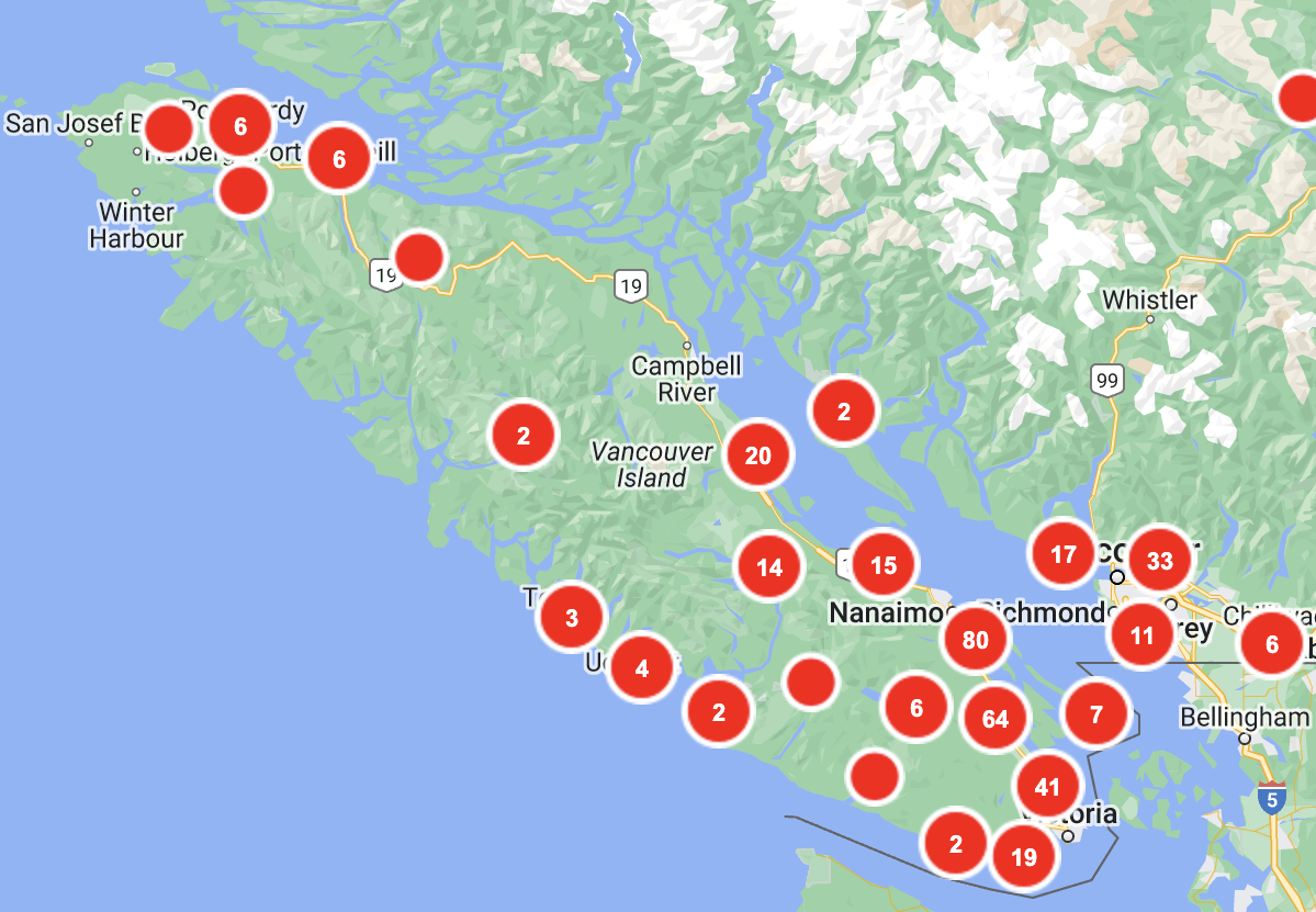 BC Hydro warns power outages caused by windstorm may last overnight ...